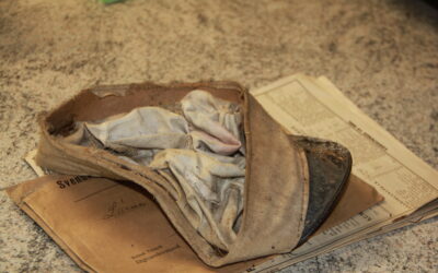 En spännande upptäckt